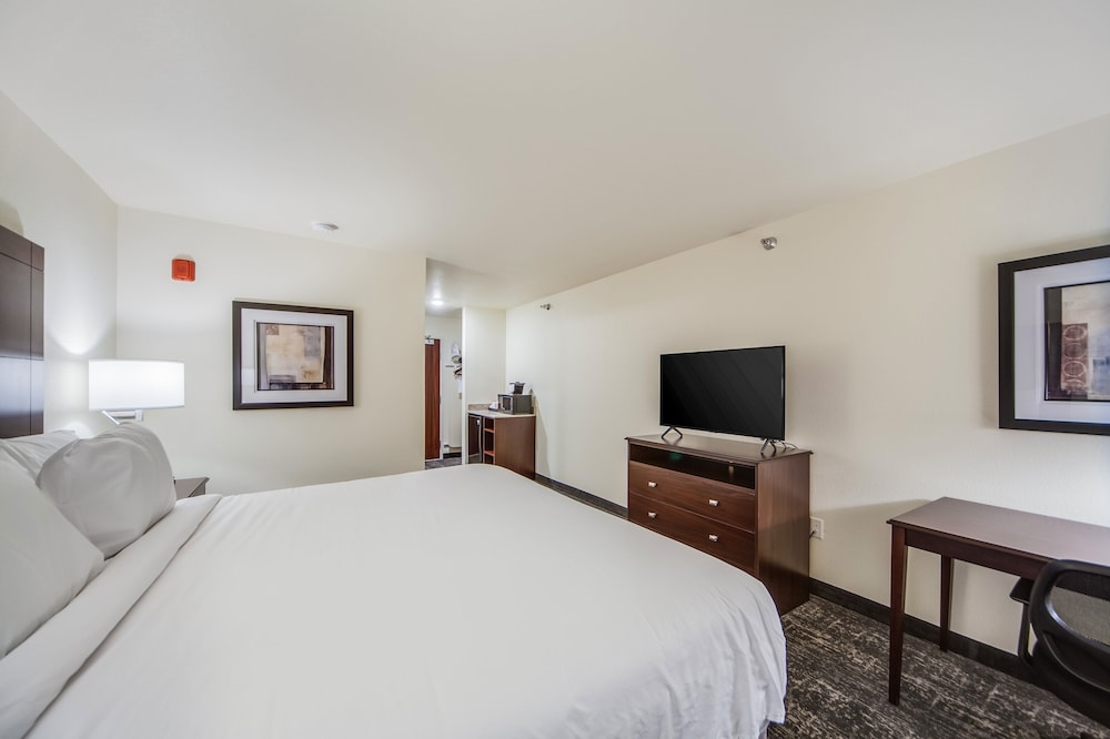 Room, 1 King Bed, Non Smoking (Audible/Visual) - Photo 6