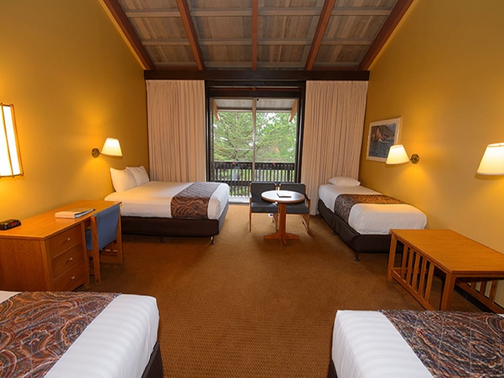 Standard Single Room, Multiple Beds - Photo 1