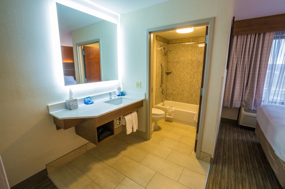 Suite, 1 King Bed, Accessible (MOBILITY) - Photo 6