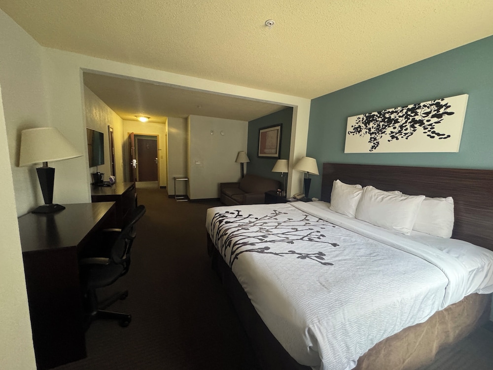 Suite, 1 King Bed with Sofa bed, Non Smoking - Photo 2