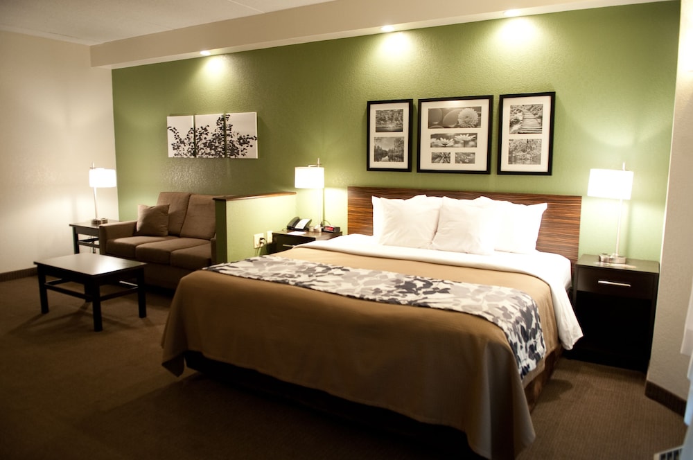 Suite, 1 King Bed with Sofa bed, Non Smoking - Photo 2