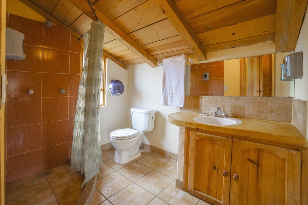 Junior Suite, Garden View photo 3