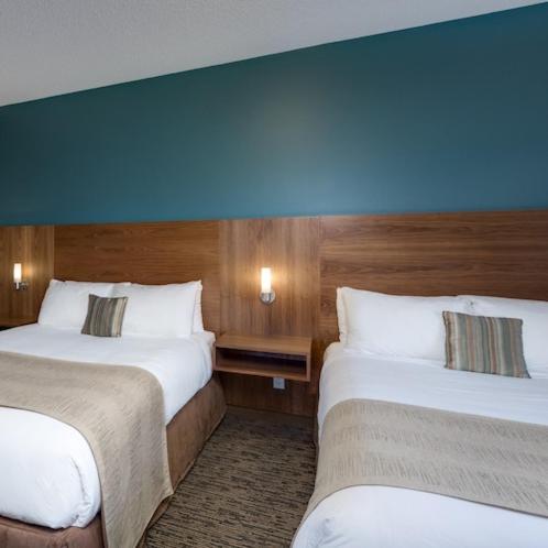 Family Suite photo 3