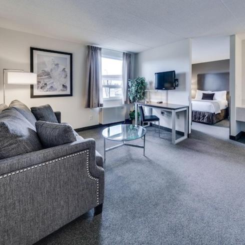 Superior King Suite photo 3