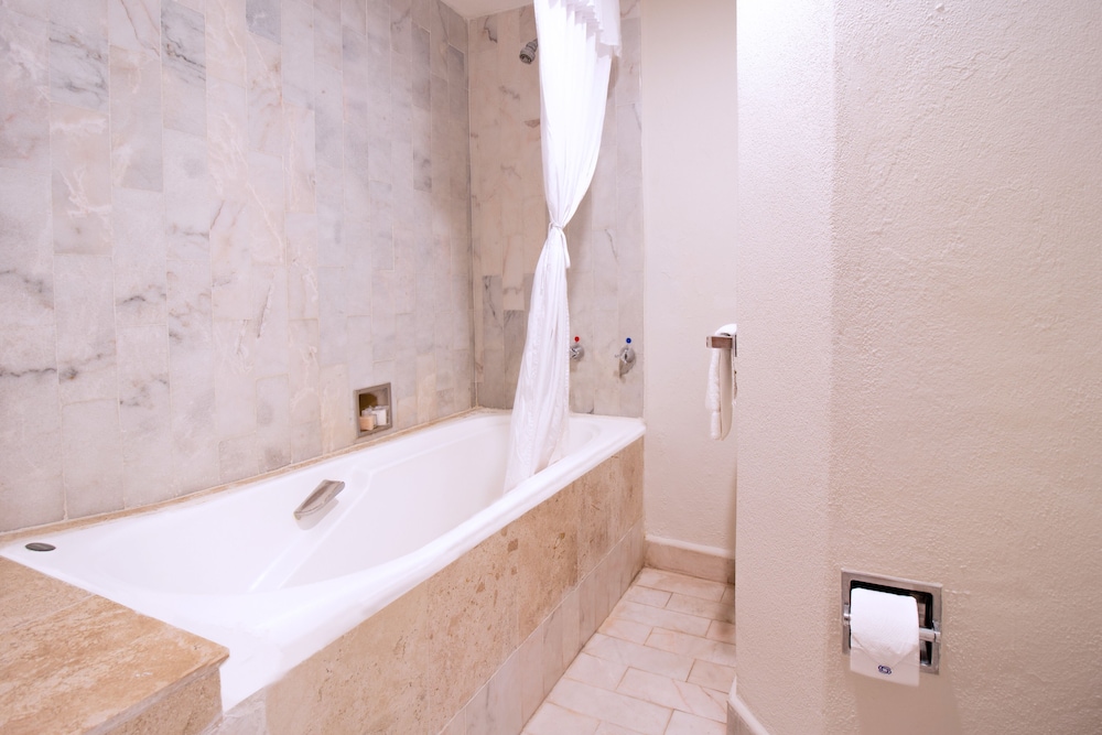 Suite, 1 Bedroom - Photo 6