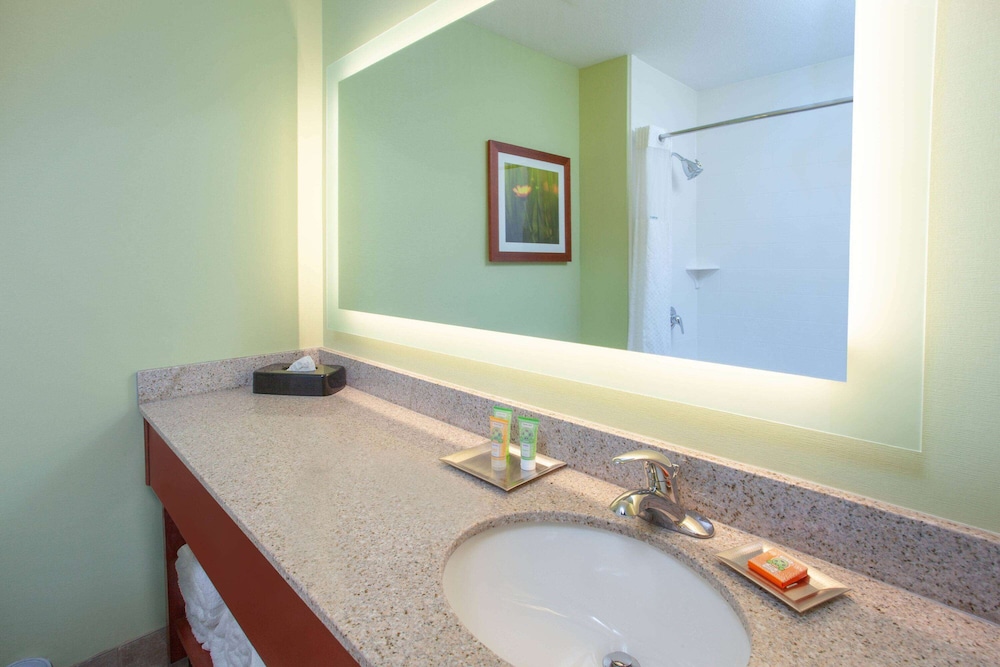 Room, 1 King Bed, Non Smoking, Jetted Tub - Photo 4