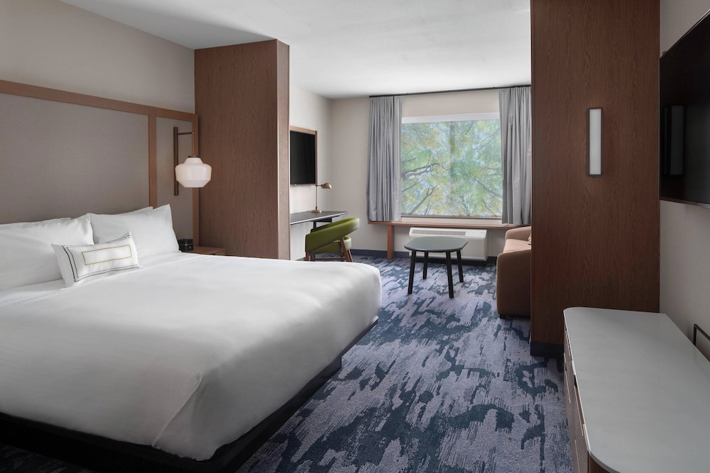 Room, 1 King Bed with Sofa bed