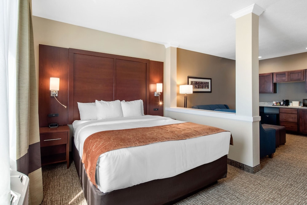 Suite, 1 King Bed, Non Smoking (Efficiency) photo 3
