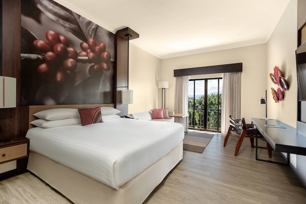 Room, 1 King Bed