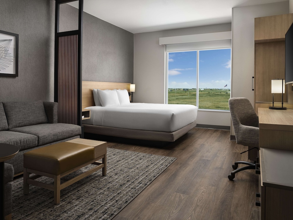 Room, 1 King Bed with Sofa bed, Accessible (With Shower) - Photo 3