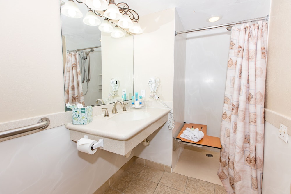 Studio, 1 King Bed, Accessible, Kitchenette photo 3