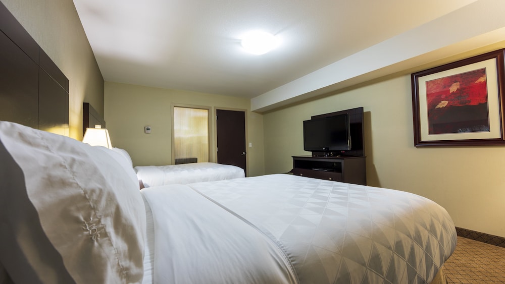 Suite, Multiple Beds