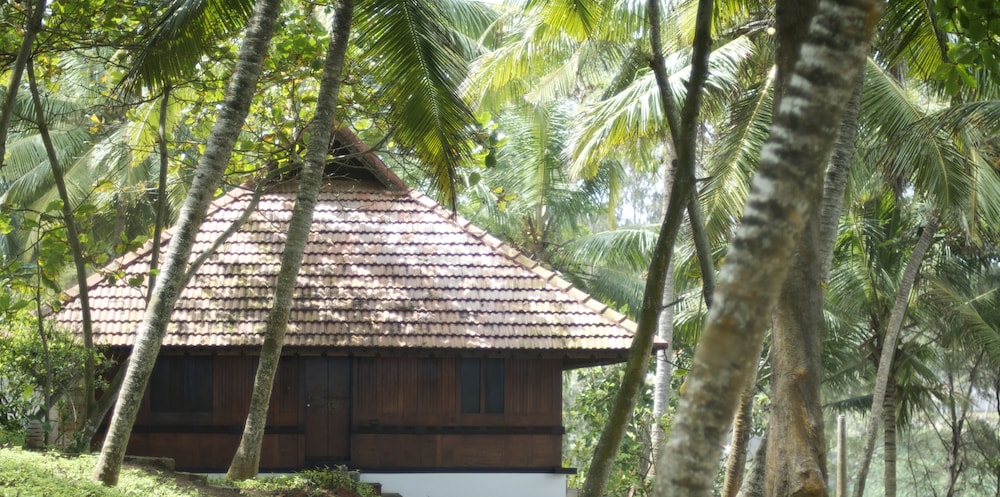 Superior Cottage, 1 King Bed, Partial Sea View - Photo 4