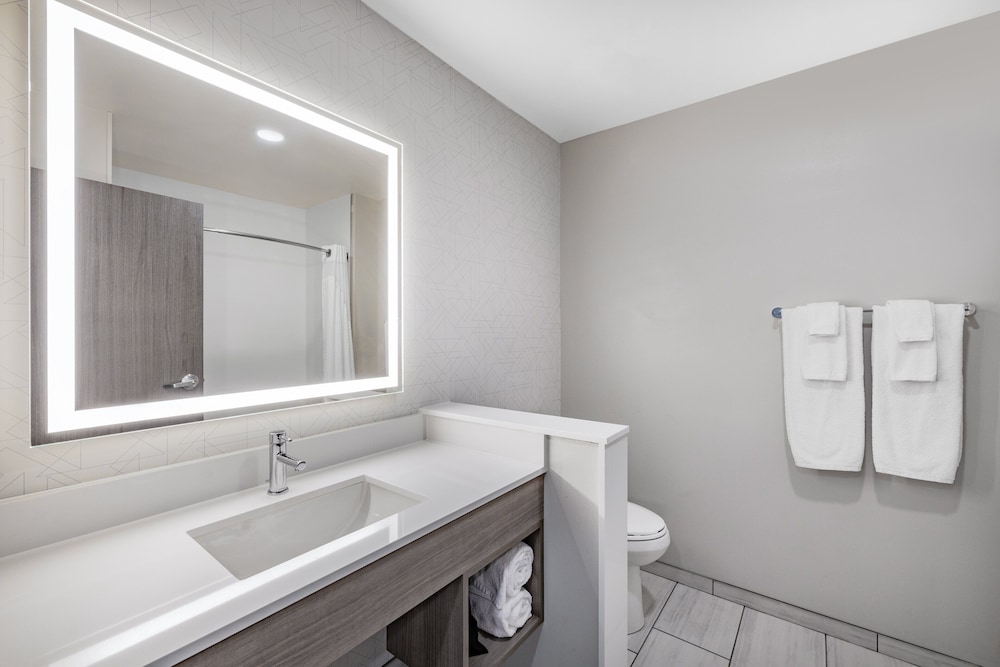 Suite, 1 King Bed, Accessible (Communications) - Photo 7
