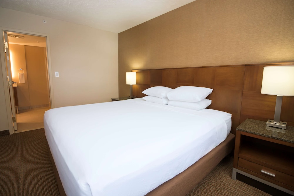 Suite, 1 King Bed (Ambassador) photo 2