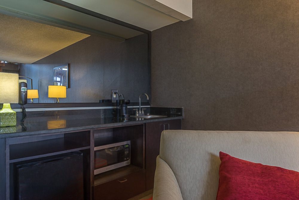 Suite, 1 Bedroom - Photo 3