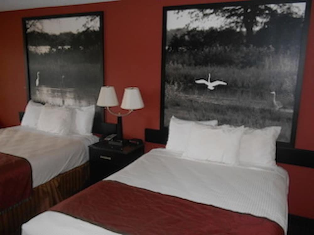 Standard Room, 2 Queen Beds - Photo 4