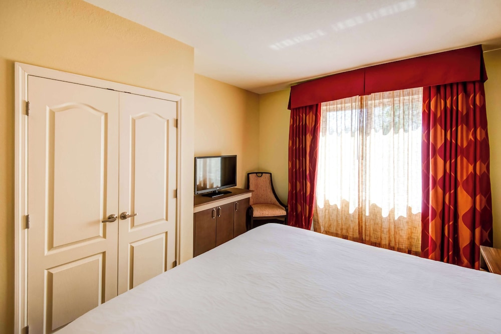 Suite, 1 King Bed - Photo 3