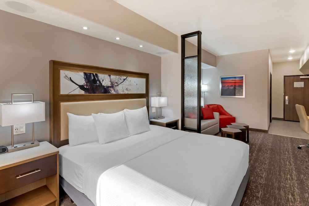 Suite, 1 King Bed, Non Smoking, Refrigerator & Microwave (with Sofabed) - Photo 3