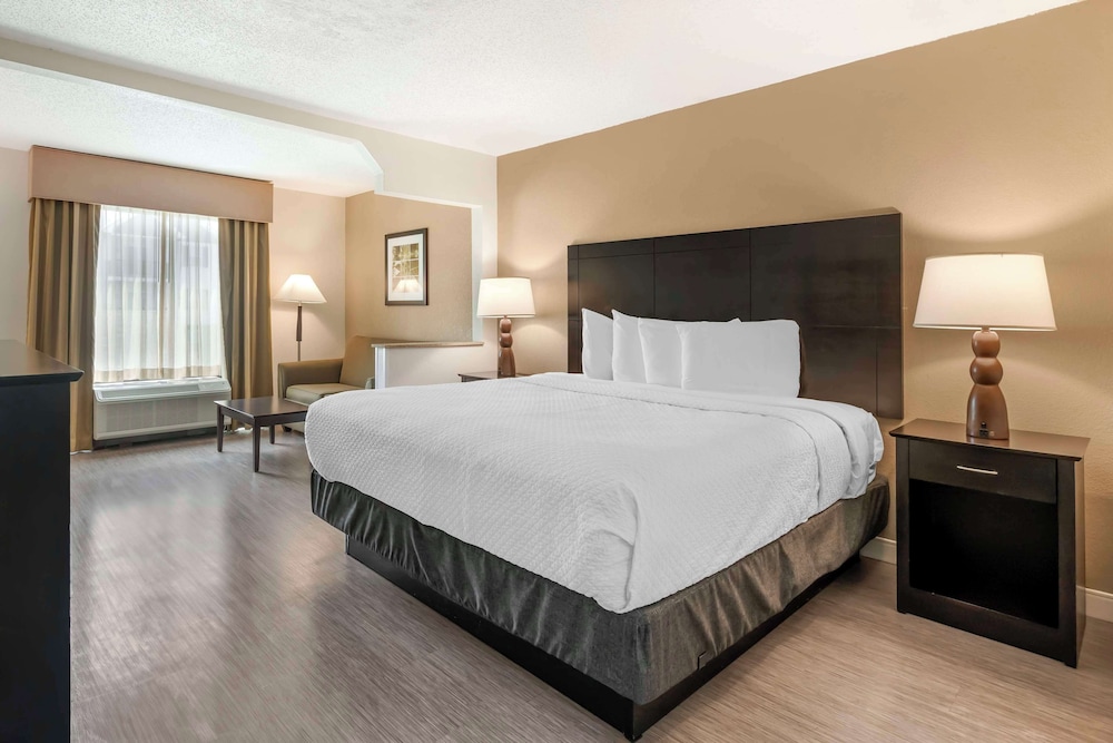 Suite, 1 King Bed, Non Smoking, Refrigerator & Microwave (with Sofabed) - Photo 3