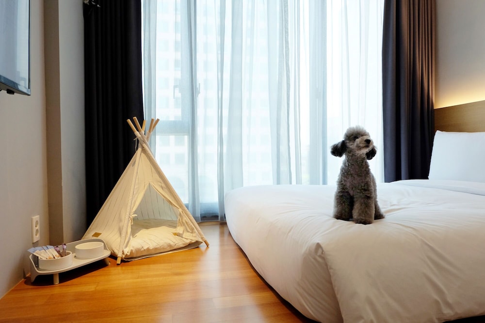 Deluxe Twin Room - Pet Friendly photo 3