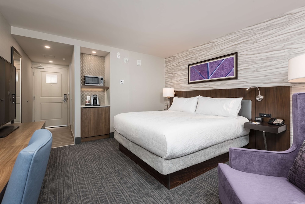 Room, 1 King Bed (Small)