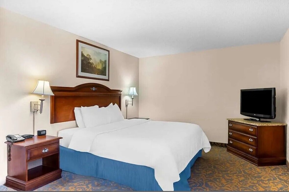 Signature Studio Suite photo 2