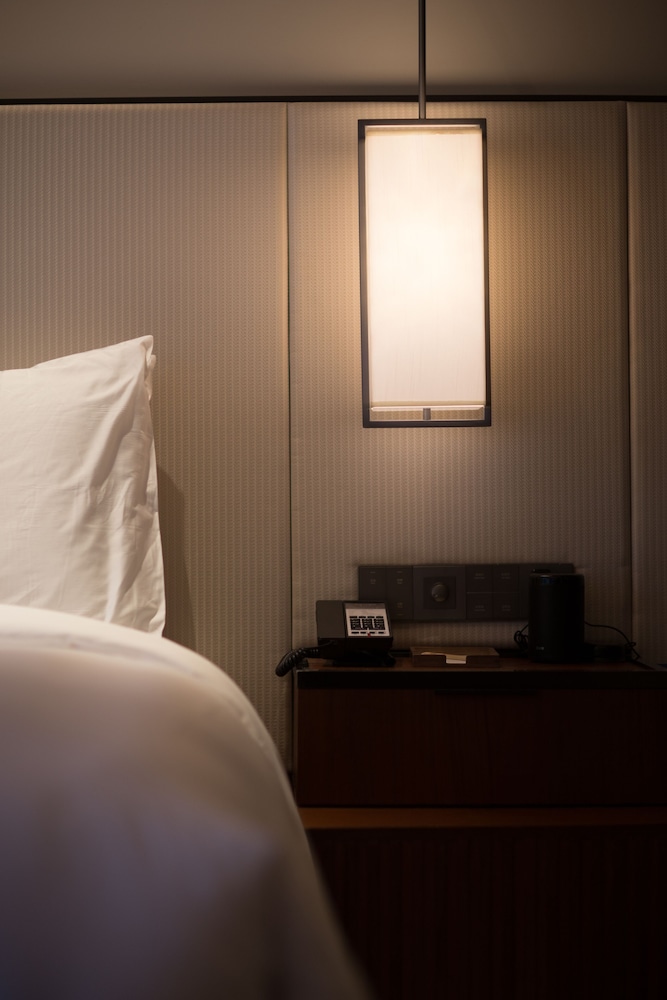 Room, 1 King Bed photo 2