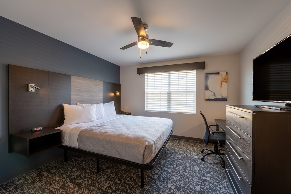 Suite, 1 King Bed with Sofa bed