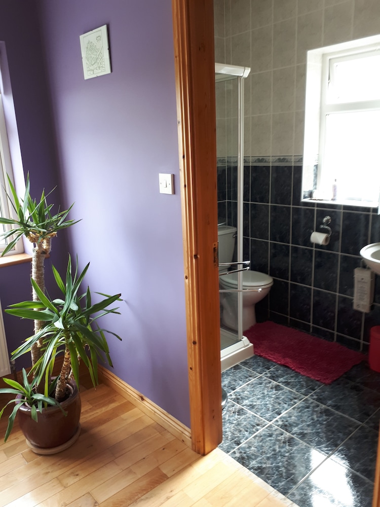 Deluxe Double Room, 1 Double Bed, Non Smoking photo 3