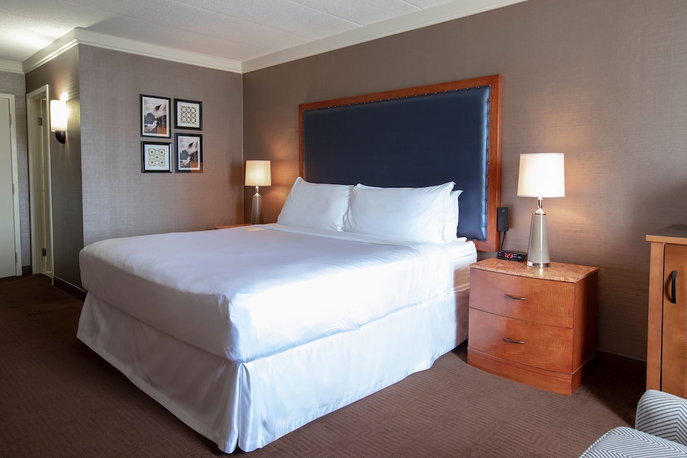 Suite, 1 Double Bed photo 2