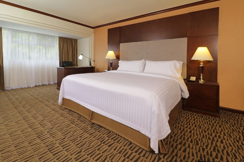 Suite, 1 King Bed - Photo 7