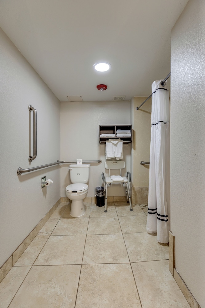 Standard Room, 1 King Bed, Accessible - Photo 8