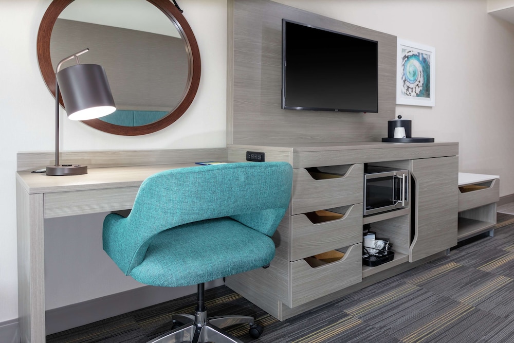 Room, 1 King Bed, Accessible (Roll-In Shower Mobility & Hearing) photo 1