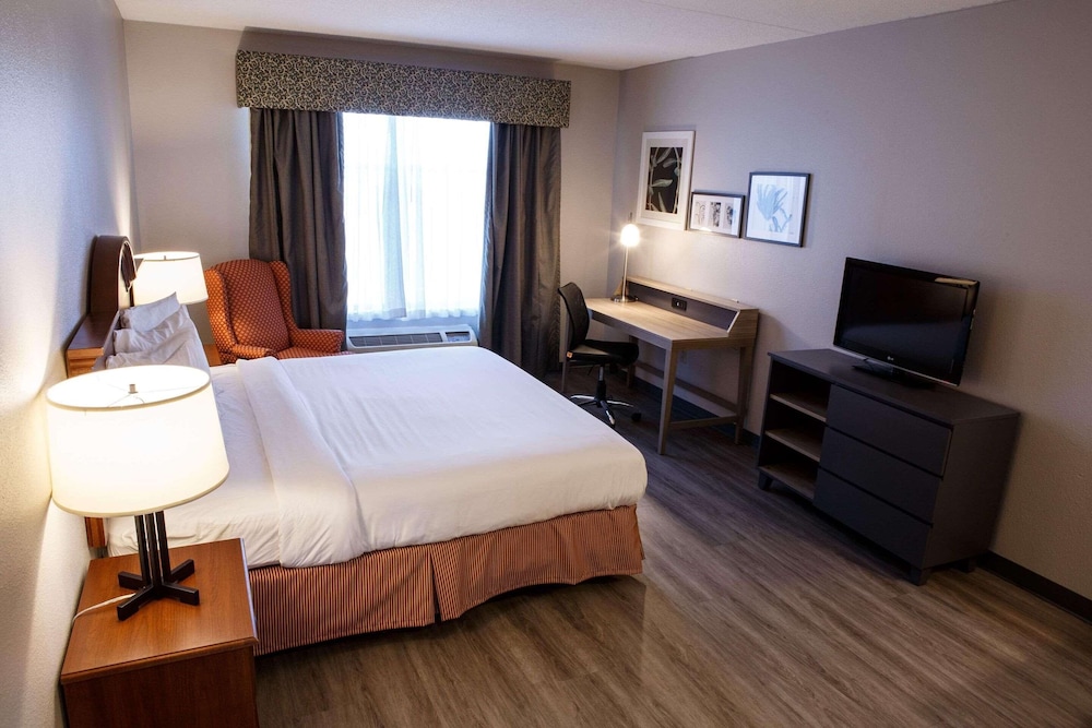 Studio Suite, 1 King Bed, Non Smoking photo 2