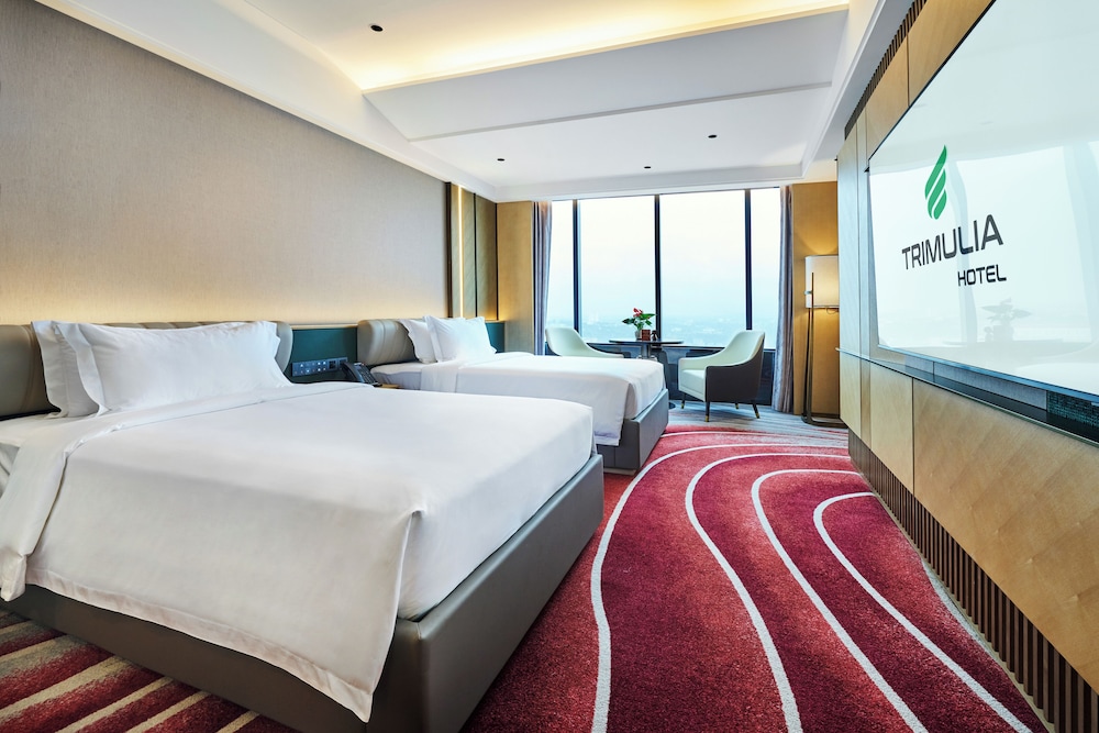 Deluxe Twin Room, City View photo 1