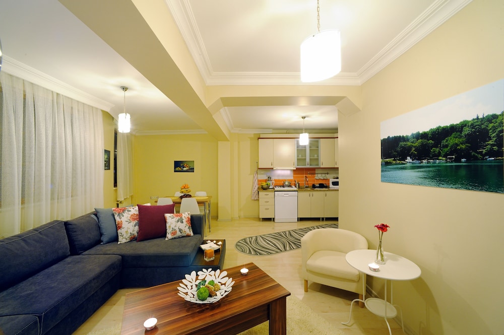 Family Apartment, 1 King Bed with Sofa bed, Kitchen, City View photo 3