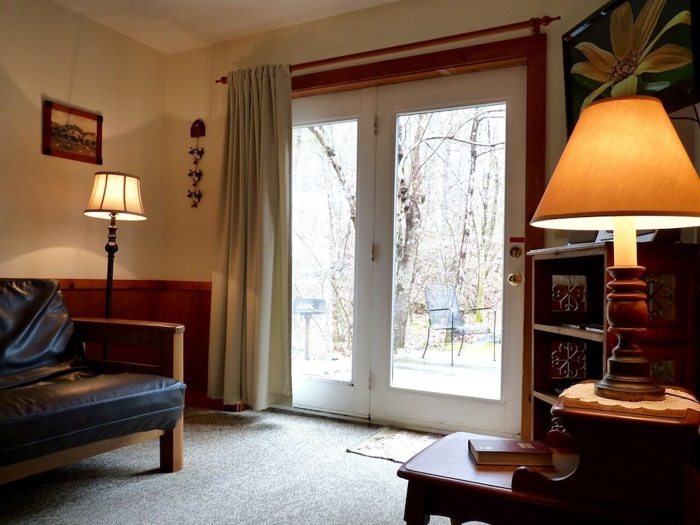Family Cabin, Private Bathroom (Barnwood (one BR)) photo 1