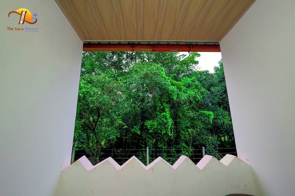 Deluxe Room - Photo 3