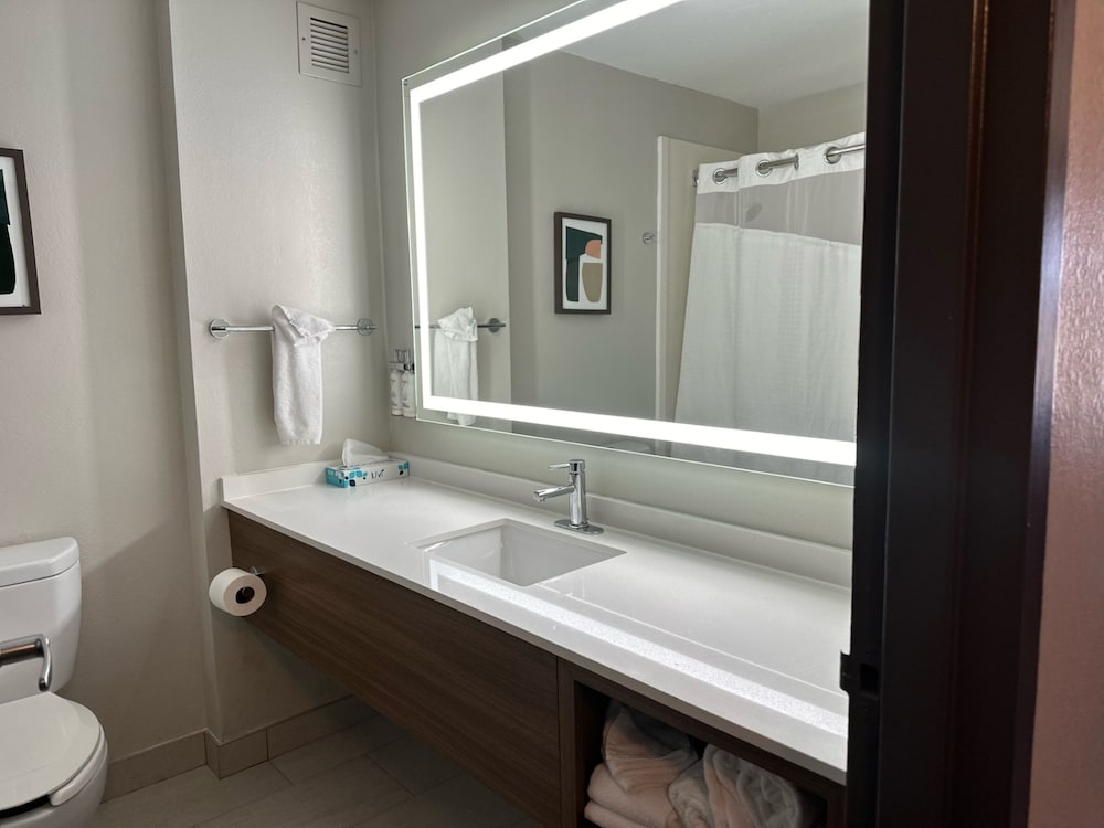 Premium Room, 1 King Bed, Mountain View - Photo 4