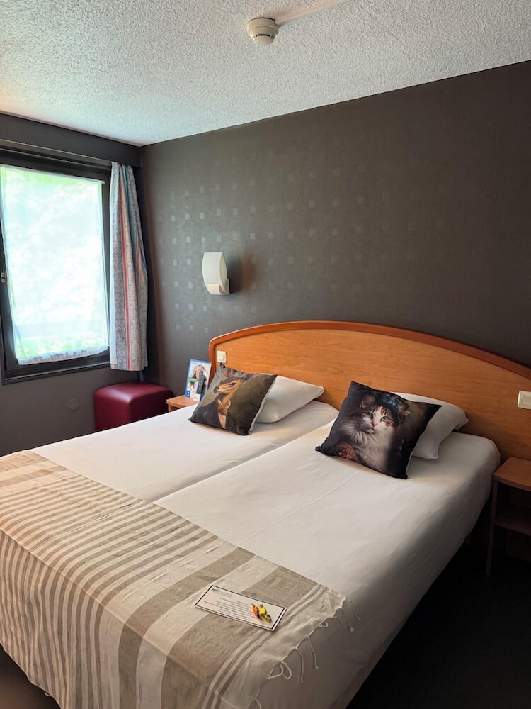 Comfort Twin Room - Photo 5