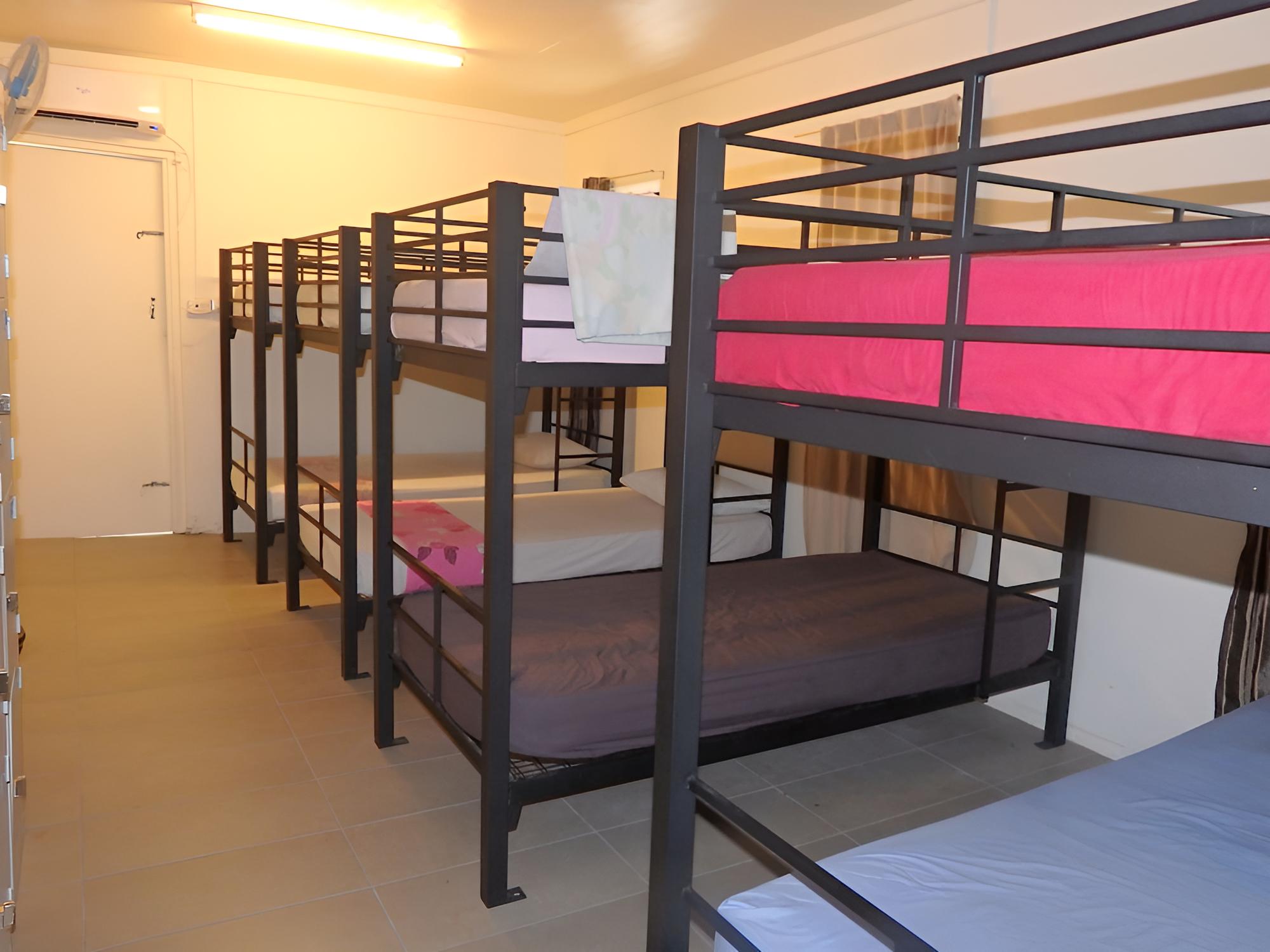 Basic Shared Dormitory, Mixed Dorm (8 beds)
