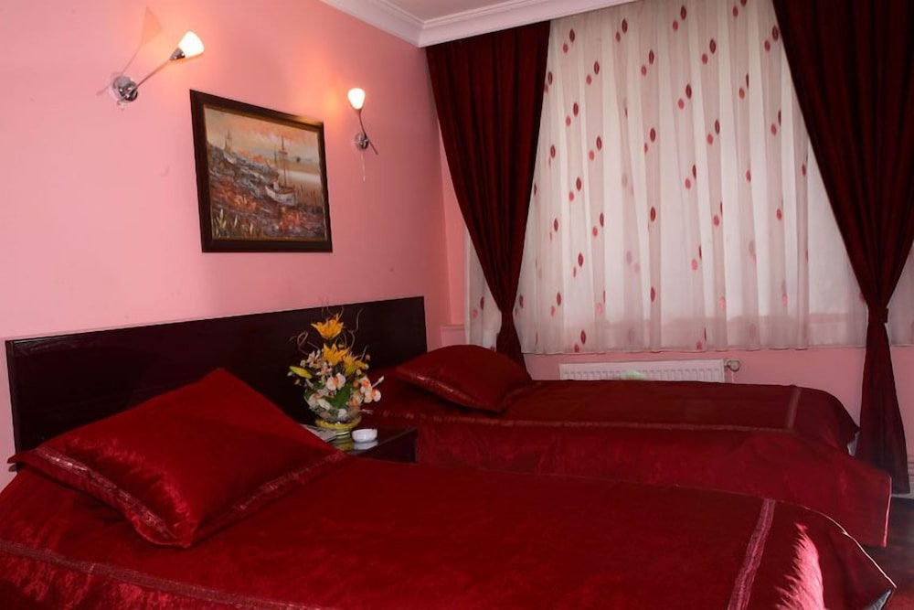 Standard Double or Twin Room photo 1