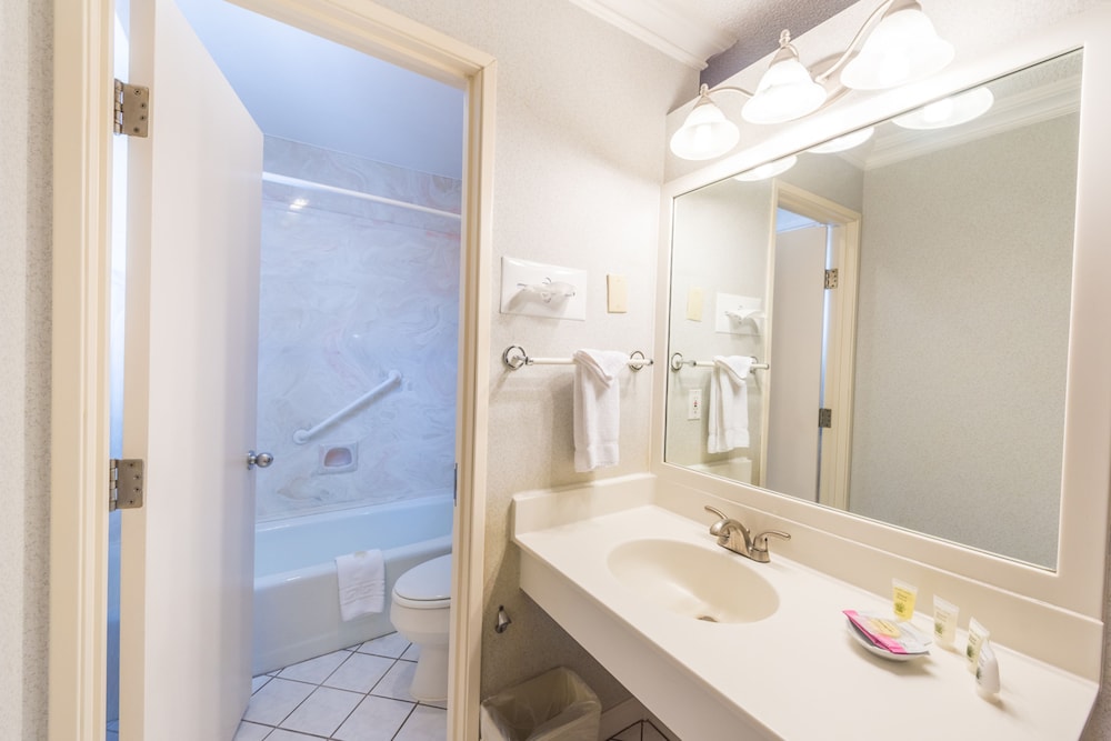 Standard Room, 1 Queen Bed, Mountain View photo 3