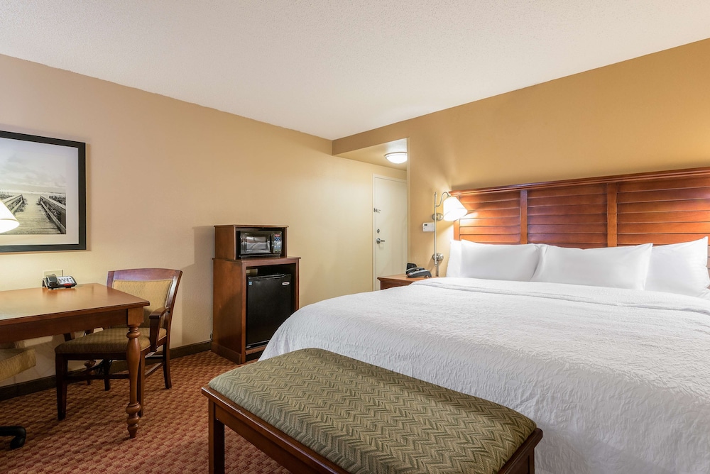 Suite, 1 King Bed, Accessible, Bathtub (Mobility & Hearing) - Photo 1