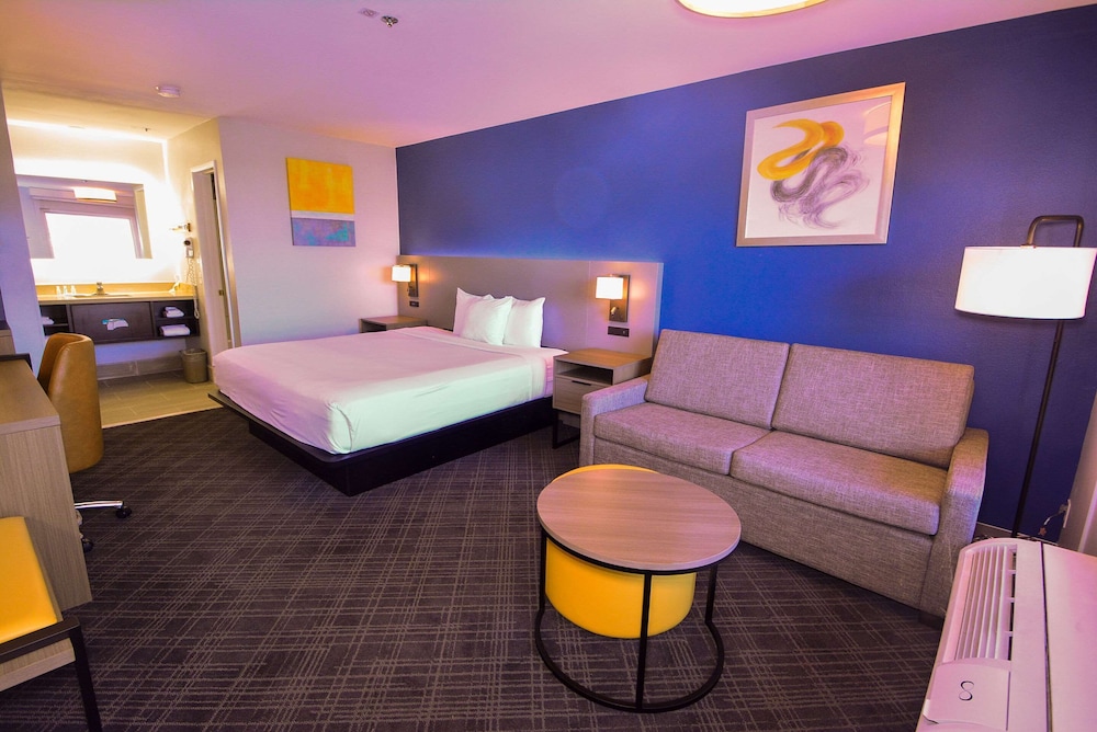 Standard Room, 1 King Bed, Accessible Roll-In Shower, Non Smoking - Photo 8