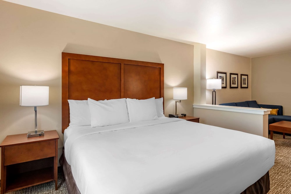 Suite, 1 King Bed, Non Smoking - Photo 2