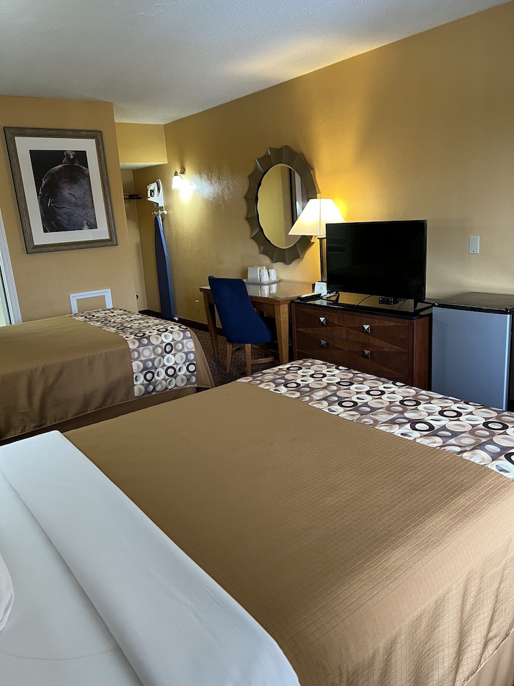 Standard Single Room, 2 Double Beds photo 3