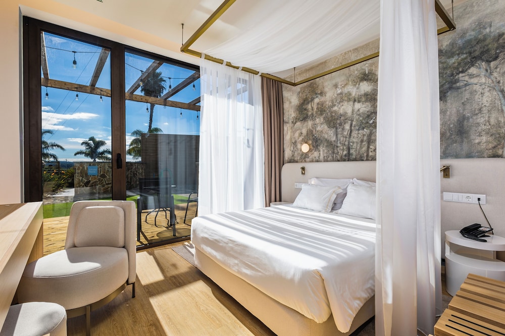 Superior Double or Twin Room with Terrace and Pool View