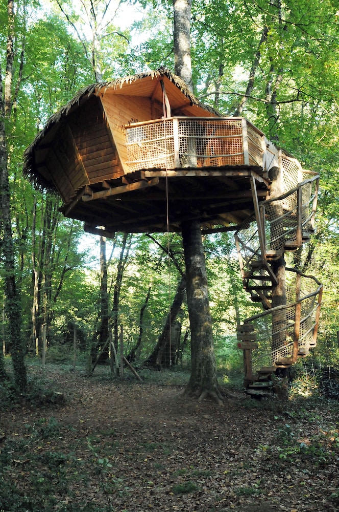 Tree House photo 2